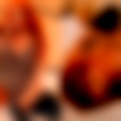 Erin Eevee FREE VIP๐ฅ photo