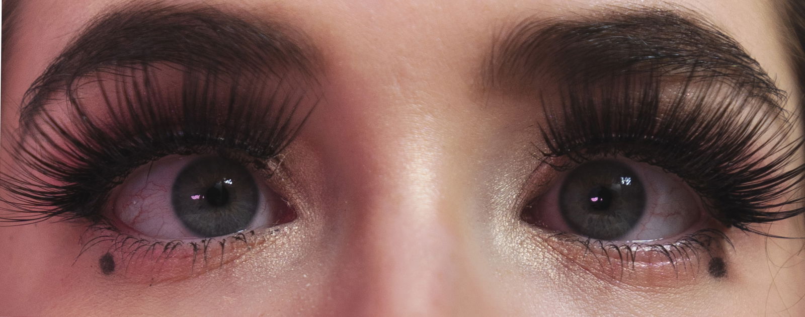 Laurel Jeune 🍅 photo