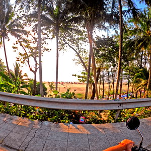 Lily๐Your secret desiresโจ photo