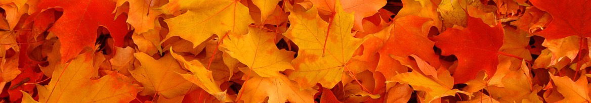 🌿petite lucy💦💦💦 photo