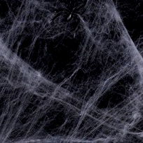 🌿petite lucy💦💦💦 photo