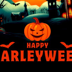 Harley 🌹 Curve Main photo