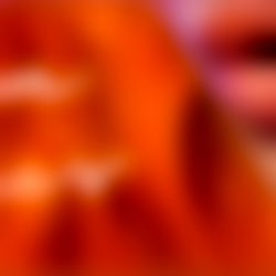 ๐Eva Likes๐ photo