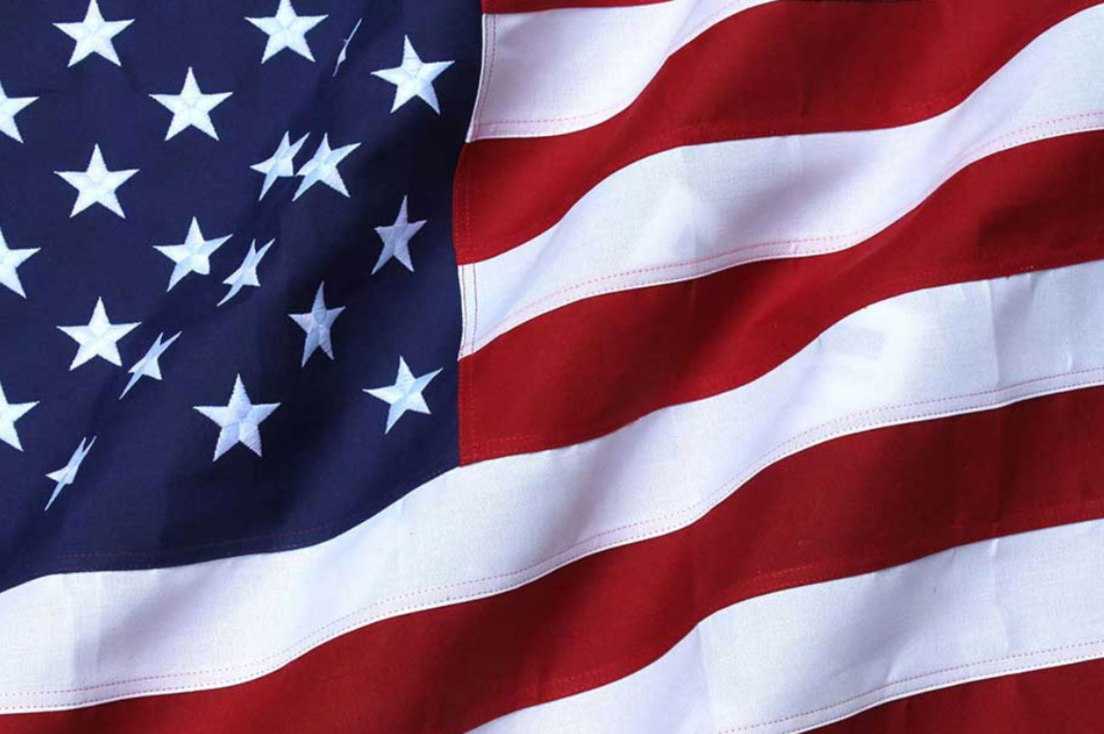 Elizabeth Duffy photo