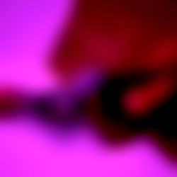 Alex Le Tissier photo