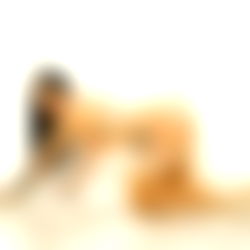 MONEYBIRDETTE FREE photo