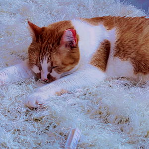 Leana Lovings โก photo