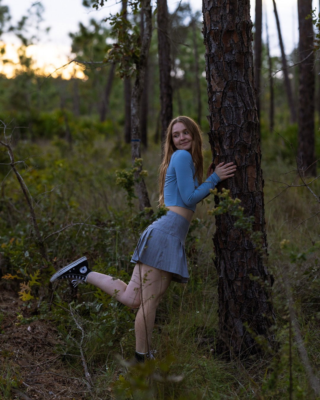 Slutnut Chestnut photo