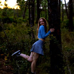 Slutnut Chestnut photo