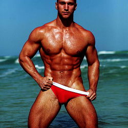 Geselle Skitterend in die Sonneskyn