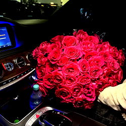 🌹Jenny 🌹 photo