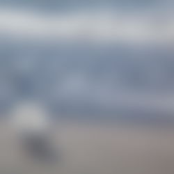 GODDESS PETALS photo