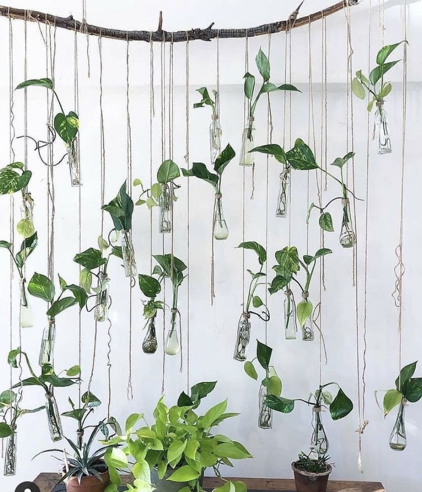 Quinn Reaper ⛏ photo