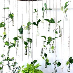 Quinn Reaper ⛏ photo