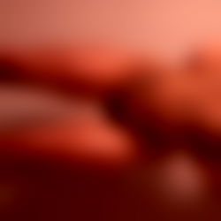 Scarlet Chase โก photo