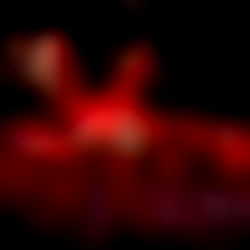 ๐
๐ฎ๐ง๐ค๐ฒ๐ฆ๐ ๐ณ๐ด photo