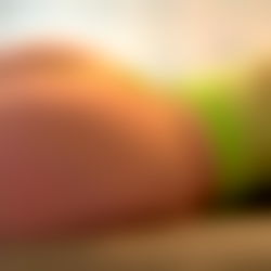 MOM TO BREED ๐ฆ photo