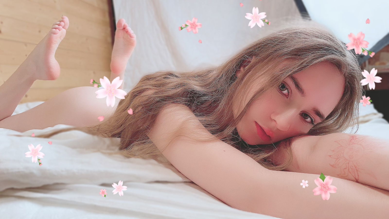 ✨ Kitten ⛈ photo