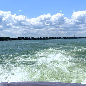 Secret Pineapple Babe photo