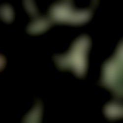 Tinyvel โจ photo