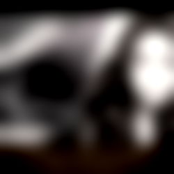 Letโs SEXT! ๐ฒ ๐ฆ photo