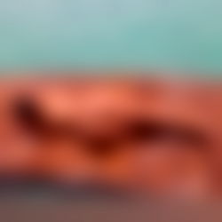 ๐ $๐ญ๐ฌ ๐๐ผ๐๐๐๐๐ ๐ฟ๐๐๐๐๐๐๐ โ๏ธ photo